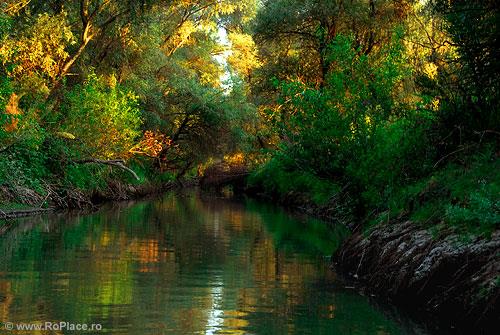 delta - peisajdelta5.jpg